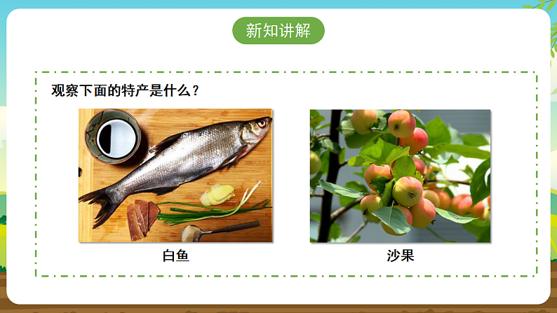 内蒙古版综合实践活动五下 第一单元 主题活动二《家乡特产小调查》课件第8页