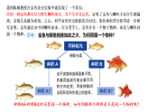 人教版高中生物必修二 6.3种群基因组成的变化与物种的形成 第2课时 隔离在物种形成中的作用 课件