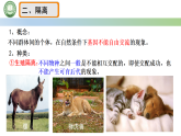 人教版高中生物必修二 6.3种群基因组成的变化与物种的形成 第2课时 隔离在物种形成中的作用 课件