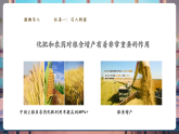 【大單元核心素養(yǎng)】魯教版化學九下11.3化學與農(nóng)業(yè)生產(chǎn)（課件+大單元教學設(shè)計+課時作業(yè)）