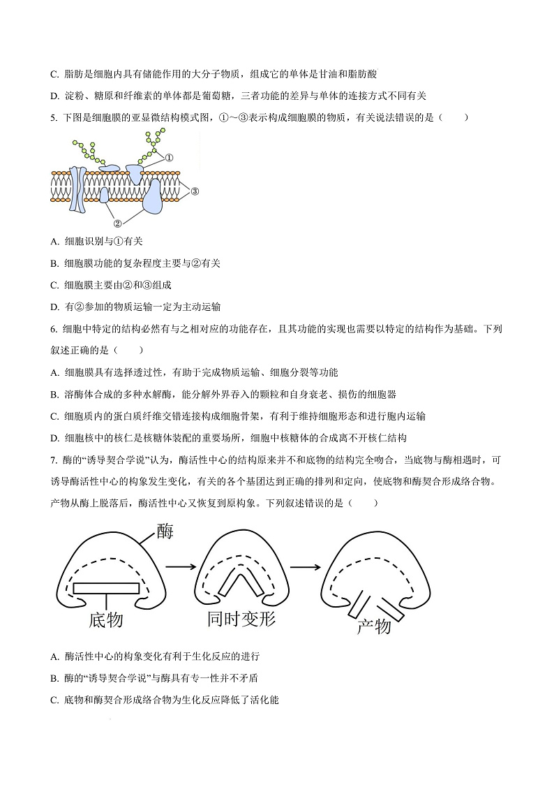 黑龙江省龙东地区2024-2025学年高一上学期期末考试生物试卷  Word版无答案第3页