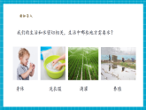 【大單元核心素養(yǎng)】教科版科學一下1.5《觀察一瓶水》單元整體設(shè)計+教學課件+同步教案