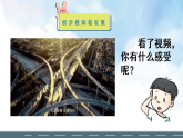 部編版小學道德與法治三年級下冊11.2《四通八達的交通》第二課時課件+教案