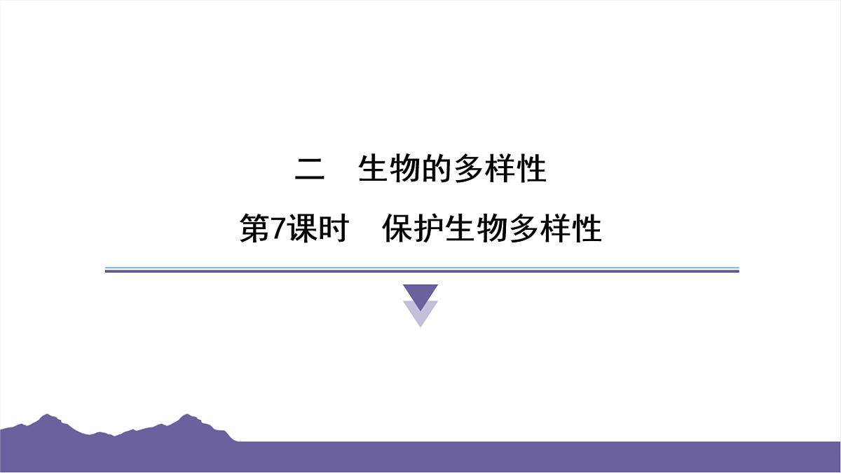 16733068第1页