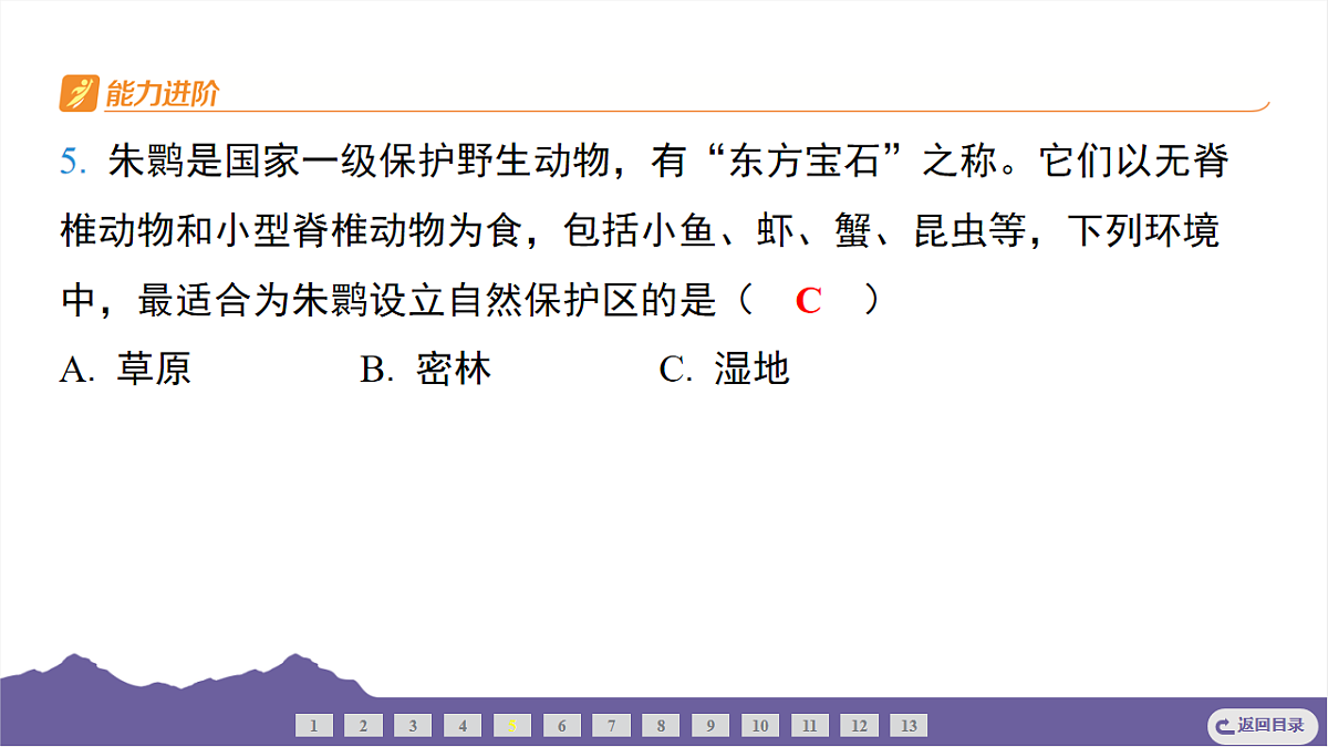 16733068第5页