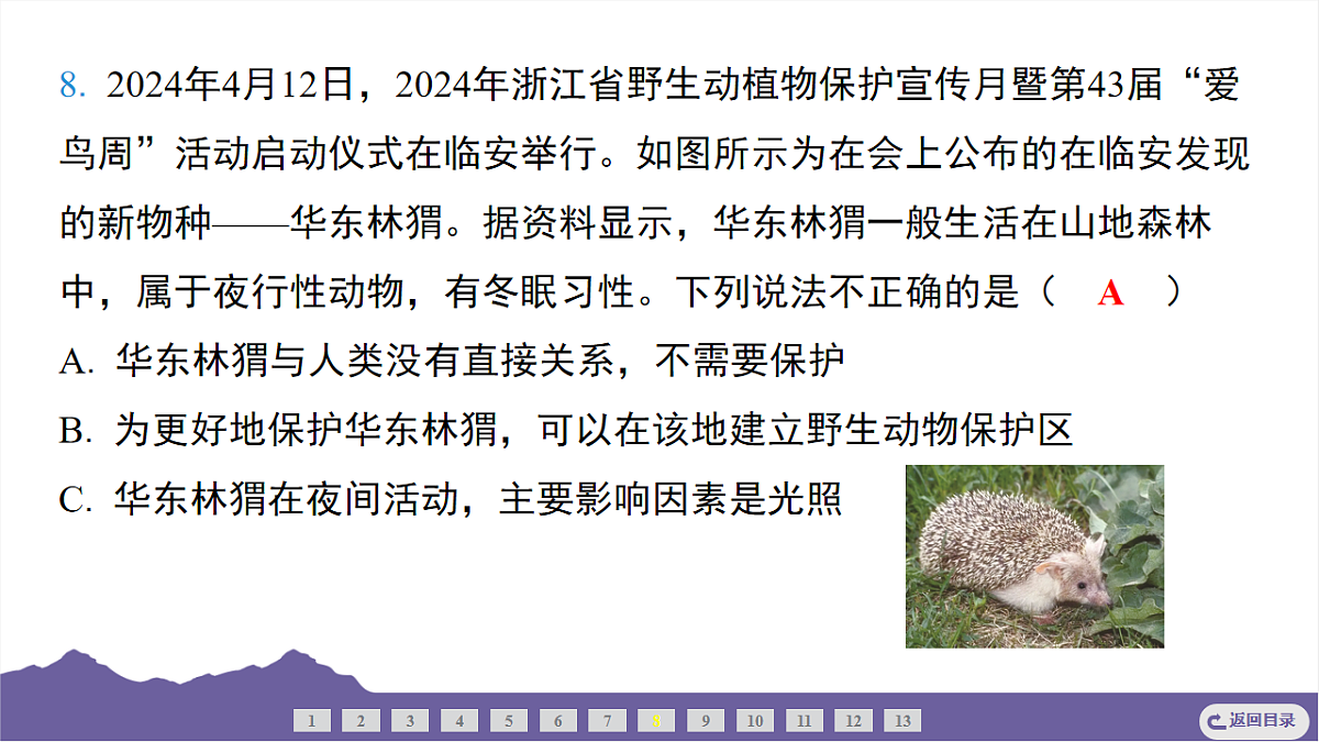 16733068第8页