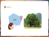 【新教材核心素養(yǎng)】湘美版美術(shù)一年級下冊第1單元第1課《大樹的模樣》課件+同步教案+素材