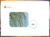 【新教材核心素養(yǎng)】湘美版美術(shù)一年級下冊第1單元第1課《大樹的模樣》課件+同步教案+素材