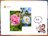 【新教材核心素養(yǎng)】湘美版美術(shù)一年級下冊第1單元第2課《花朵之美》課件+同步教案
