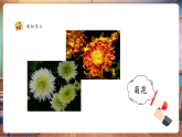 【新教材核心素養(yǎng)】湘美版美術(shù)一年級下冊第1單元第2課《花朵之美》課件+同步教案
