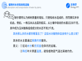 人教版（2024）生物 七年級下冊 3.2.1 水的利用與散失 【省心備課】同步課件+教學(xué)設(shè)計(jì)+課后練習(xí)（含答案）+備課素材