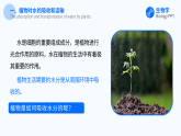 人教版（2024）生物 七年級下冊 3.2.1 水的利用與散失 【省心備課】同步課件+教學(xué)設(shè)計(jì)+課后練習(xí)（含答案）+備課素材