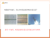 【新教材核心素養(yǎng)】北師大版數(shù)學(xué)七年級(jí)下冊(cè)2.1.1對(duì)頂角、余角和補(bǔ)角（課件+教案含反思+大單元教學(xué)設(shè)計(jì)）