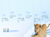 1.2 认识非洲（课件）-2024-2025学年六年级地理下册（中华中图版(五四学制)