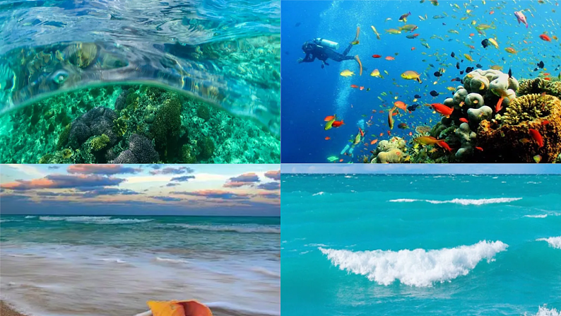 第八单元 第一节 海洋化学资源第2页