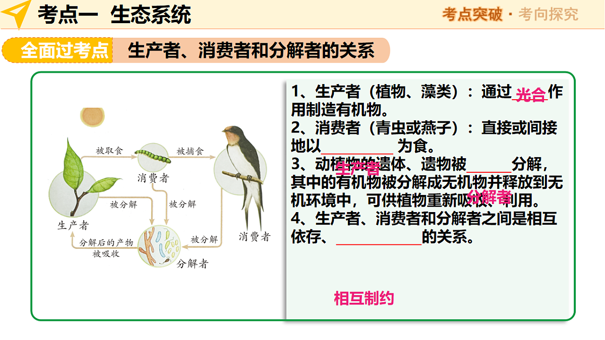 中考生物一轮复习 第02讲生态系统和生物圈 课件第8页