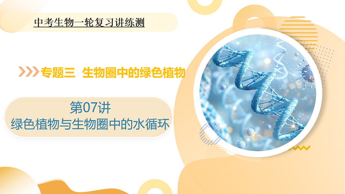 中考生物一轮复习 第07讲 绿色植物与生物圈中的水循环 课件第1页