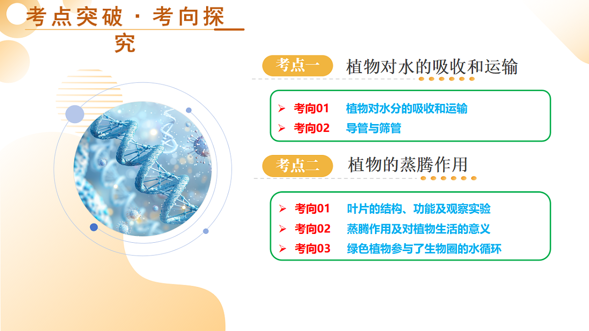 中考生物一轮复习 第07讲 绿色植物与生物圈中的水循环 课件第5页