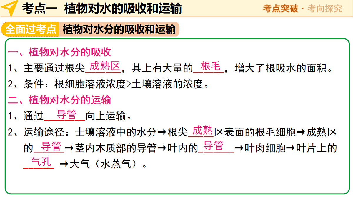 中考生物一轮复习 第07讲 绿色植物与生物圈中的水循环 课件第6页
