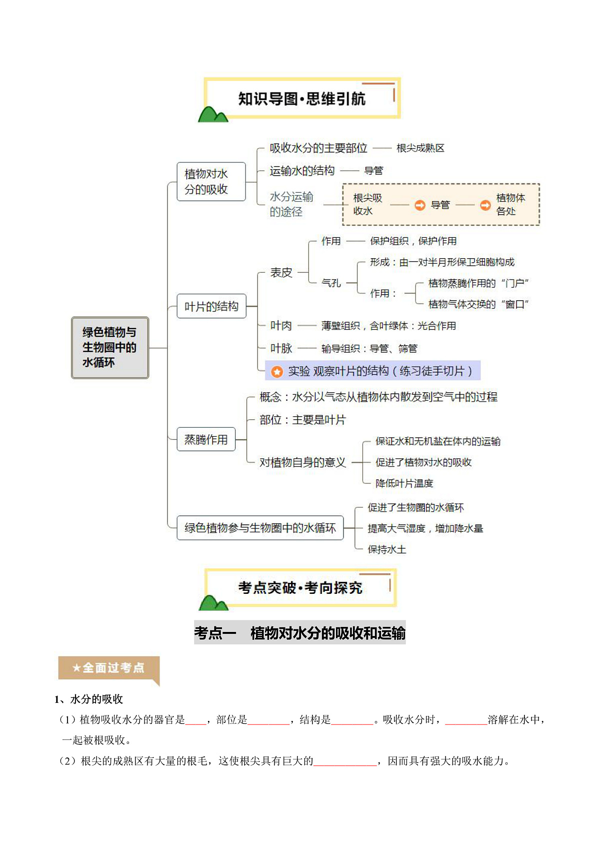 中考生物一轮复习 第07讲 绿色植物与生物圈中的水循环（精研讲义）（原卷版）第2页