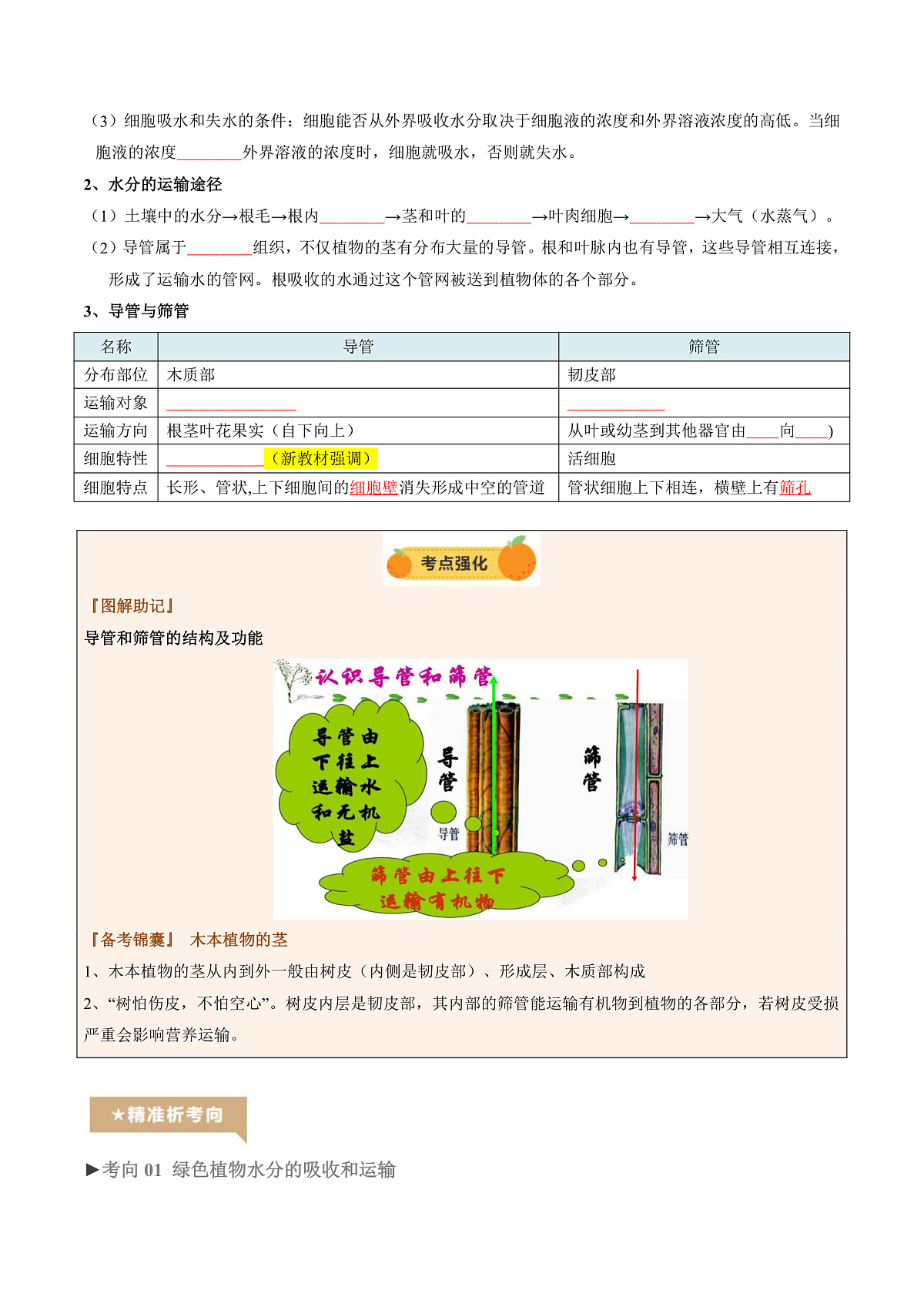 中考生物一轮复习 第07讲 绿色植物与生物圈中的水循环（精研讲义）（原卷版）第3页
