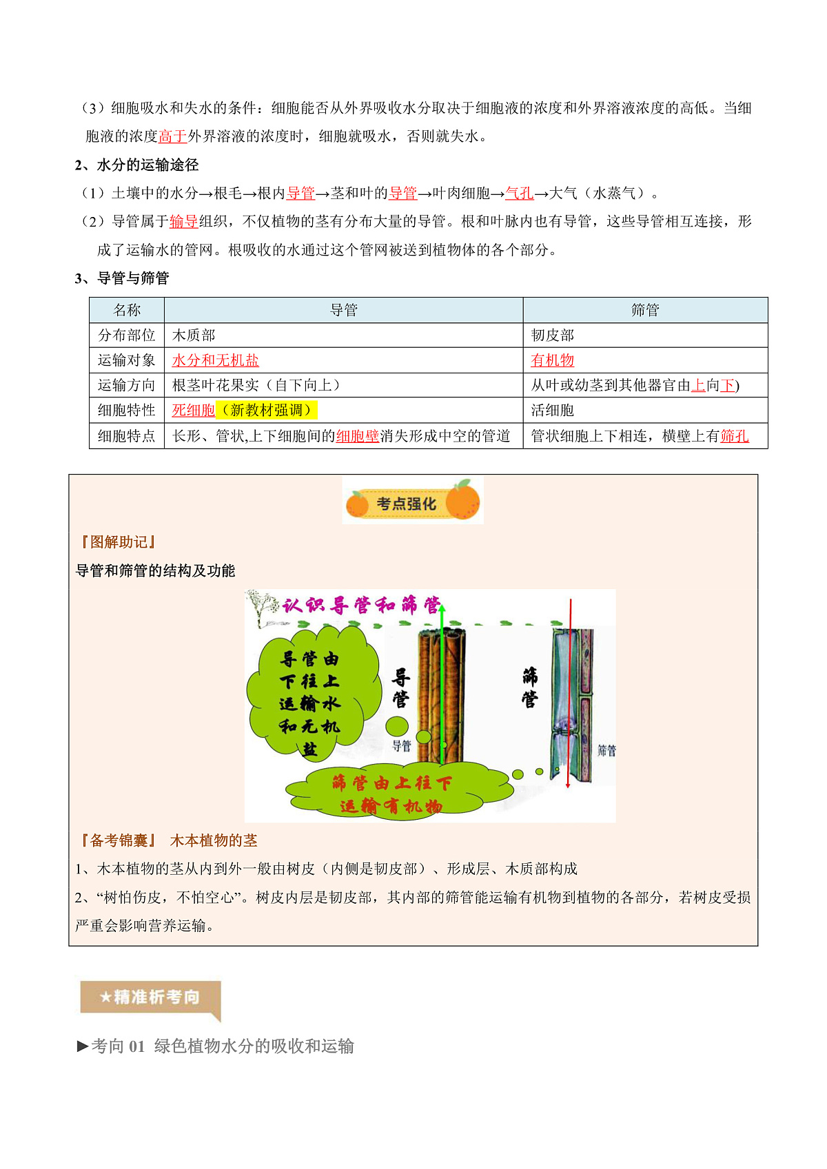 中考生物一轮复习 第07讲 绿色植物与生物圈中的水循环（精研讲义）（解析版）第3页