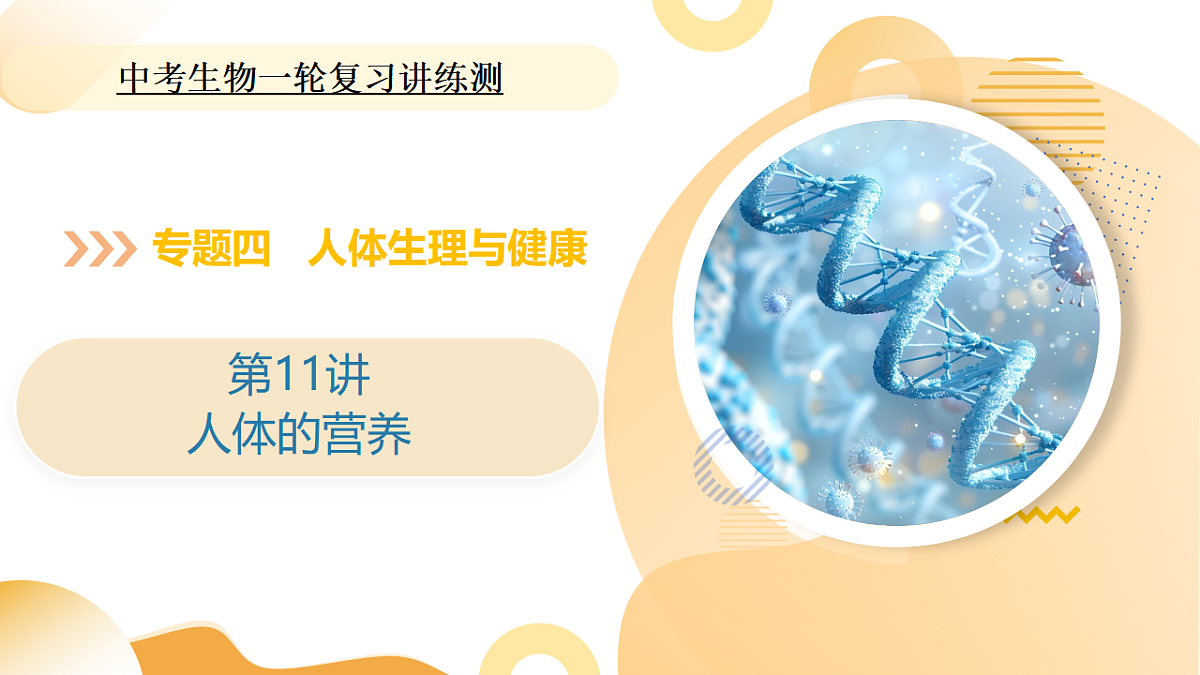 中考生物一轮复习 第11讲 人体的营养 课件第1页