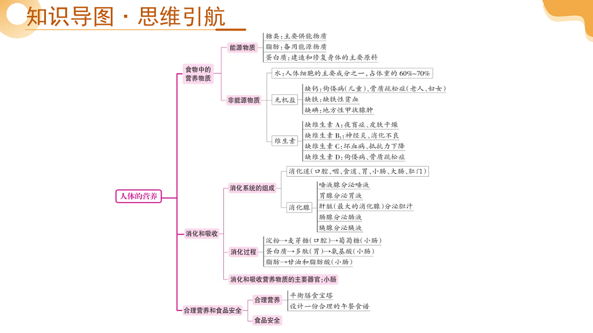 中考生物一轮复习 第11讲 人体的营养 课件第4页