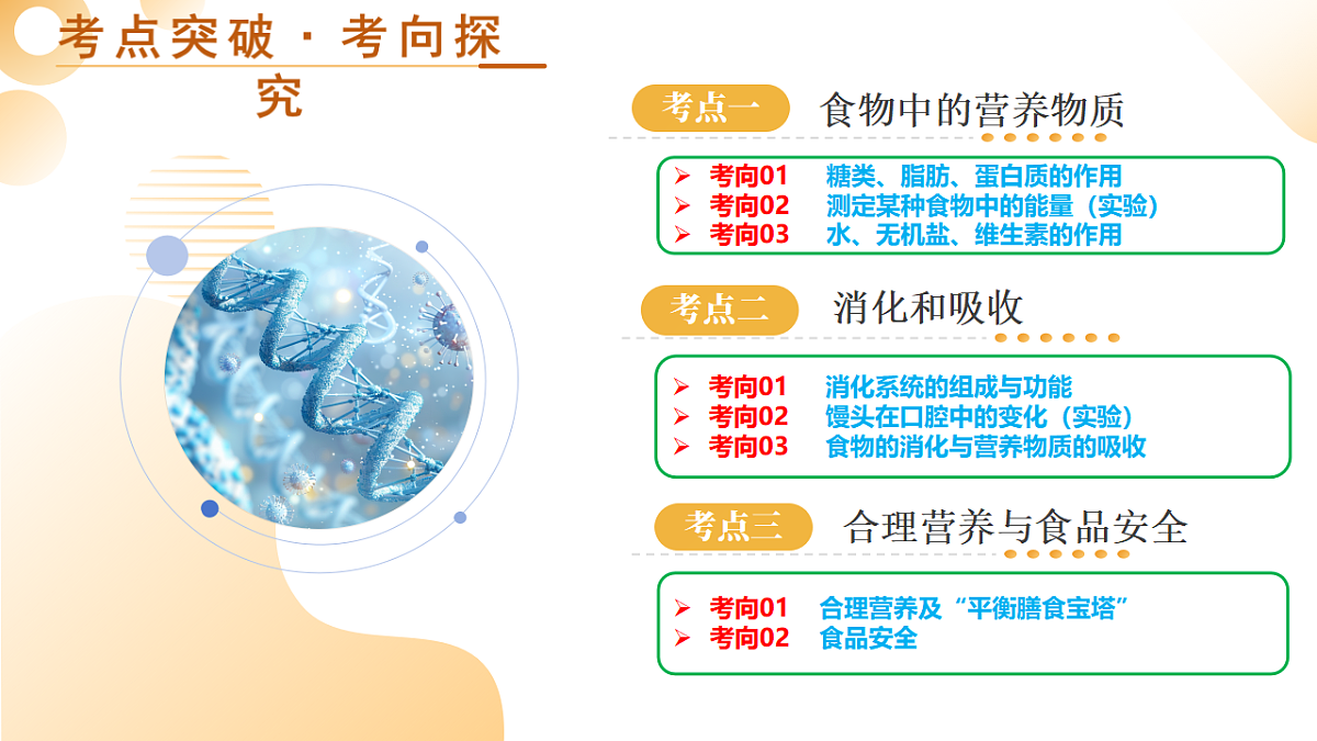 中考生物一轮复习 第11讲 人体的营养 课件第5页