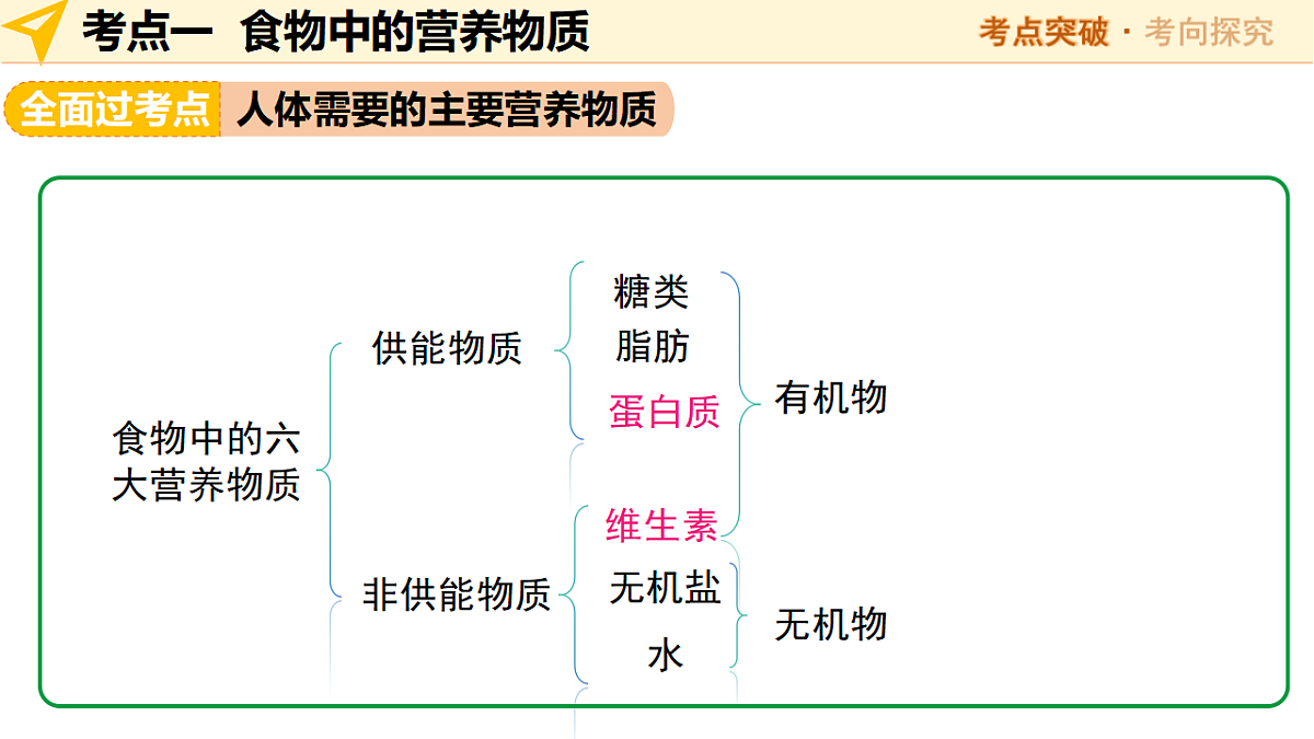 中考生物一轮复习 第11讲 人体的营养 课件第6页