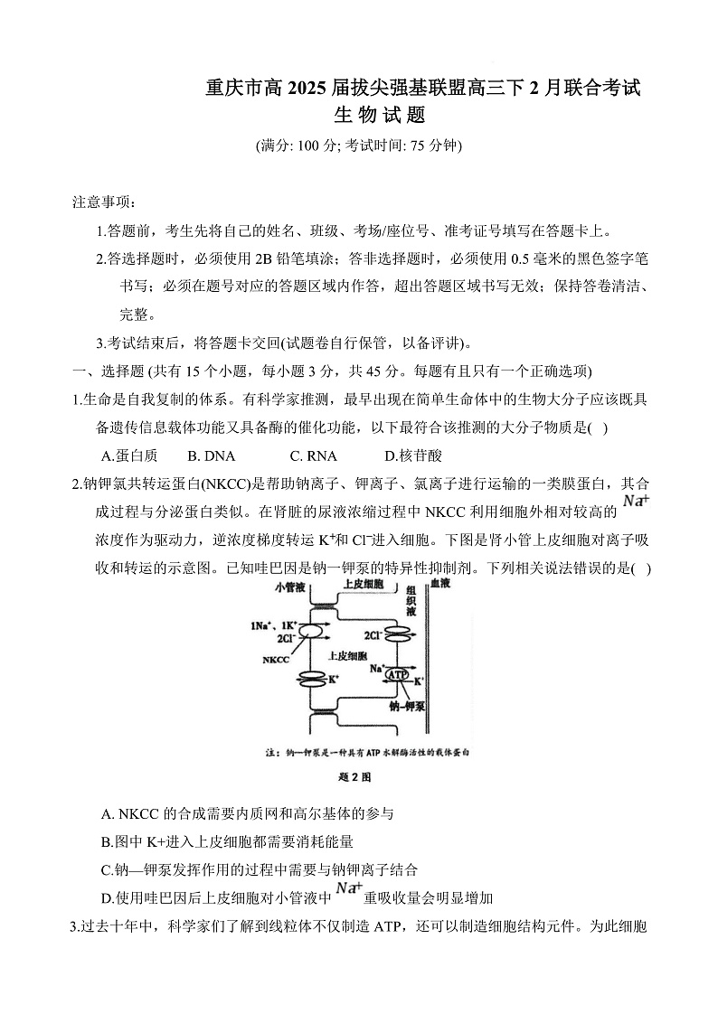 重庆市拔尖强基联盟2024-2025学年高三下学期2月月考生物试题第1页