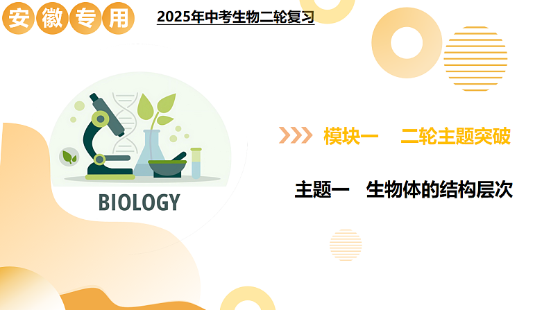 主题一 生物体的结构层次（二轮突破课件）-2025年中考生物二轮复习讲练（安徽专用）第1页