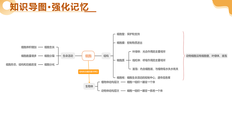 主题一 生物体的结构层次（二轮突破课件）-2025年中考生物二轮复习讲练（安徽专用）第4页