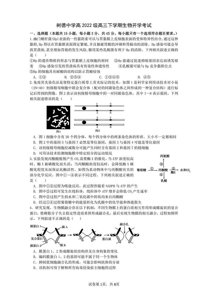 四川省成都市树德中学2024-2025学年高三下学期开学考试生物试题（PDF版附答案）第1页