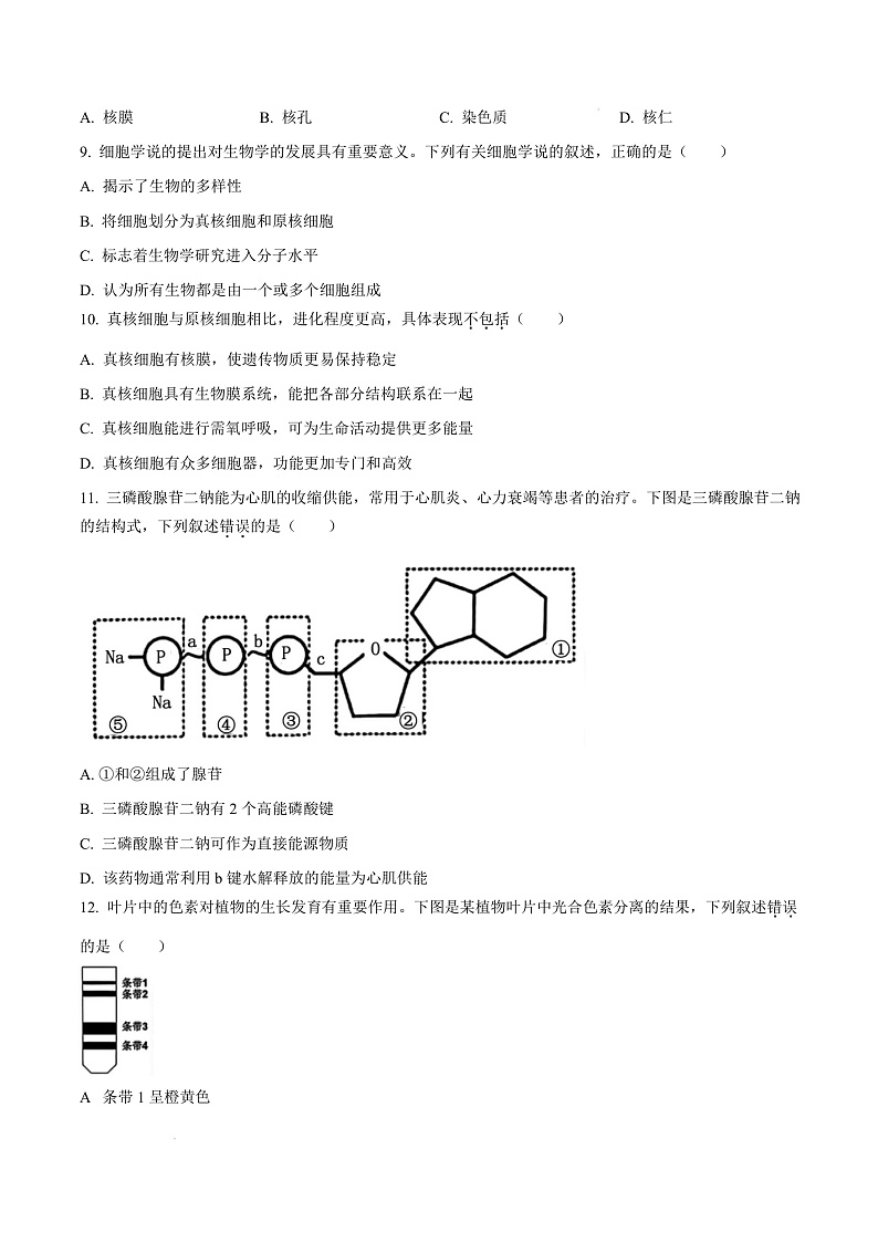 浙江省台州市2024-2025学年高一上学期期末质量评估生物试题  Word版无答案第3页