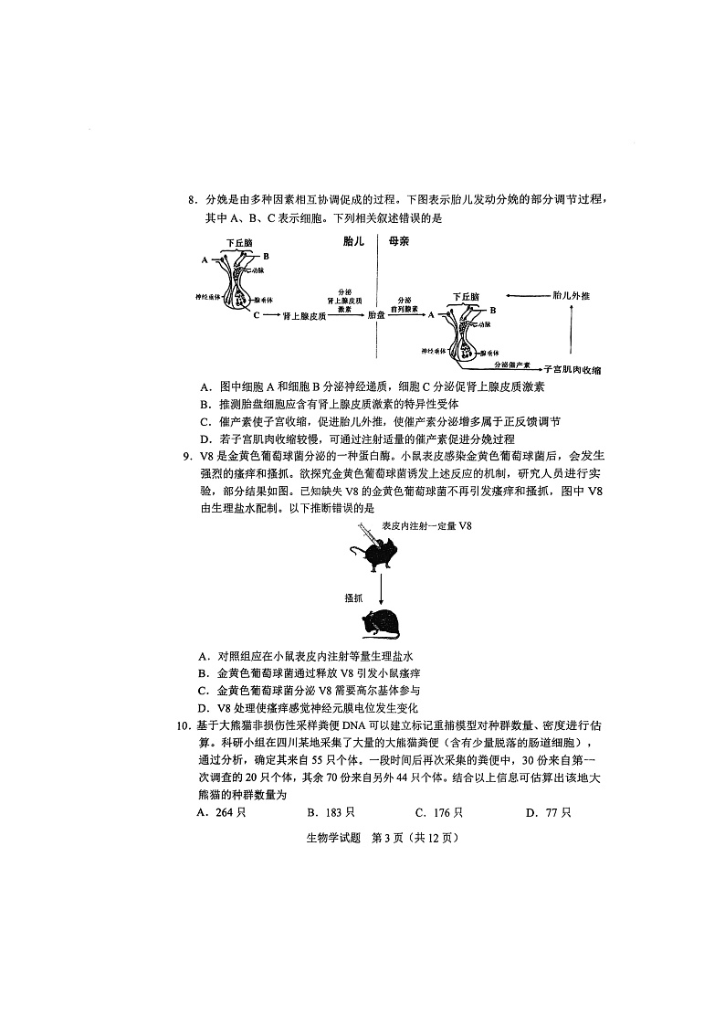 吉林省长春二模长春市2025届高三质量监测（二） 生物试题及答案第3页