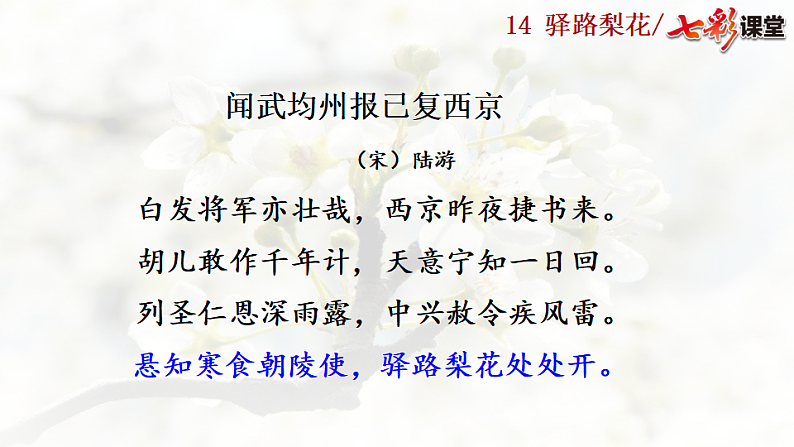 2025春人教版七年级下册语文课件14 驿路梨花第1页