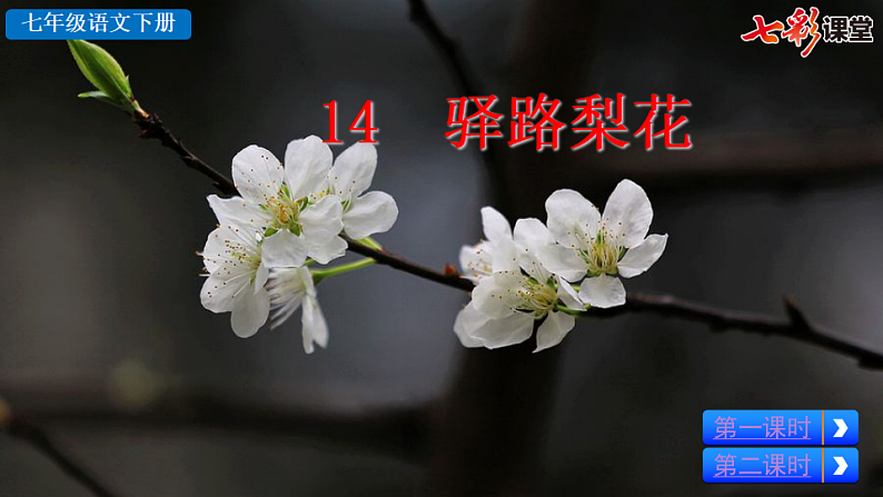 2025春人教版七年级下册语文课件14 驿路梨花第2页