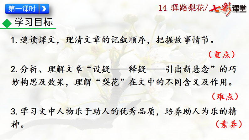 2025春人教版七年级下册语文课件14 驿路梨花第3页