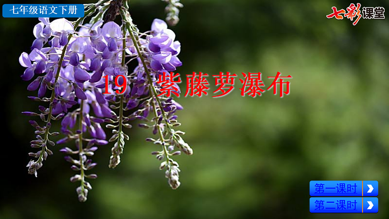 2025春人教版七年级下册语文课件19  紫藤萝瀑布第2页