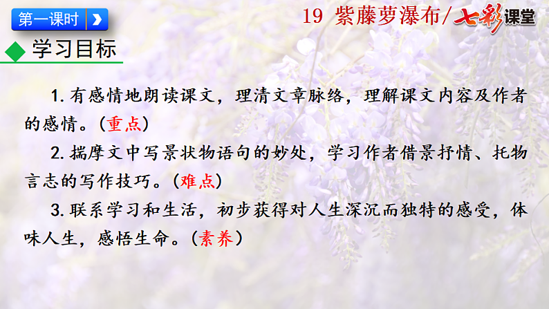2025春人教版七年级下册语文课件19  紫藤萝瀑布第3页