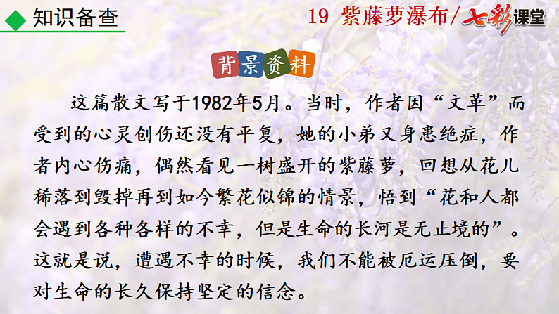 2025春人教版七年级下册语文课件19  紫藤萝瀑布第5页