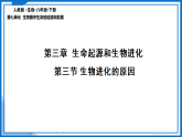 人教版生物八年级下册7.3.3《生物进化的原因》课件