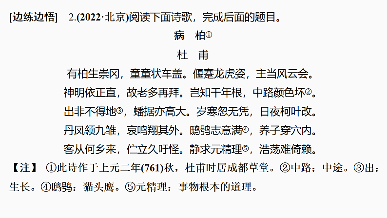 新高考语文一轮复习课件24　命制错误选项的八大设误点（42）第7页