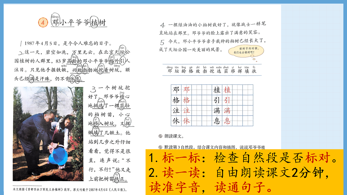 统编版语文二年级下册4《邓小平爷爷植树》教学课件第3页