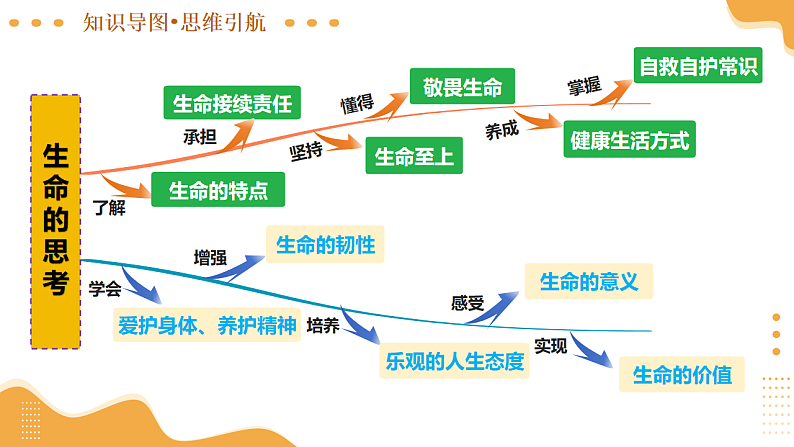 2025年中考道德与法治一轮复习 专题11 生命的思考 课件第8页