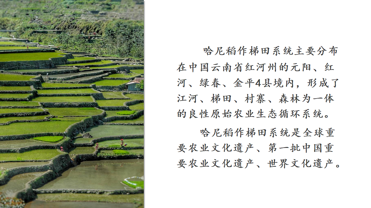 16749552第2页