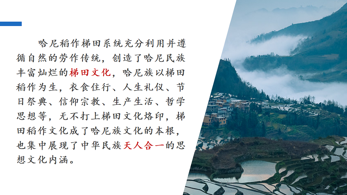 16749552第3页