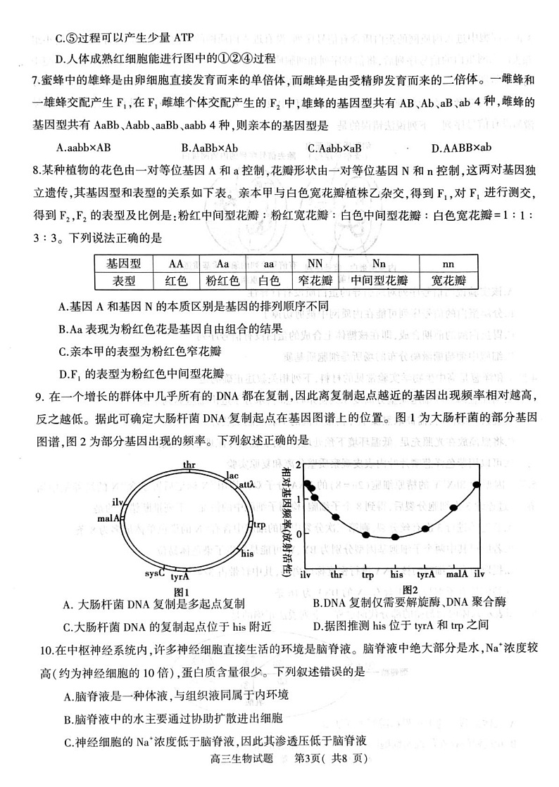 河南省信阳市2024-2025学年高三上学期1月第二次教学质量检测生物试题第3页