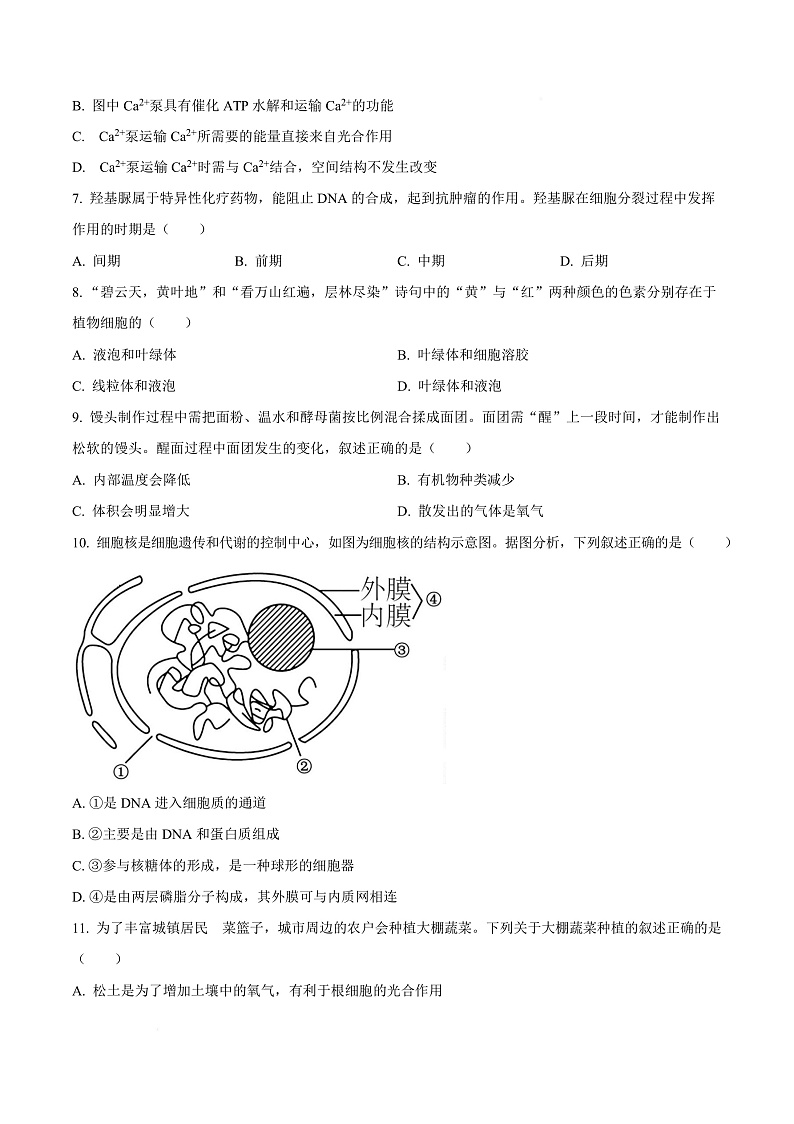 浙江省衢州市2024-2025学年高一上学期期末教学质量检测生物试卷  Word版无答案第3页